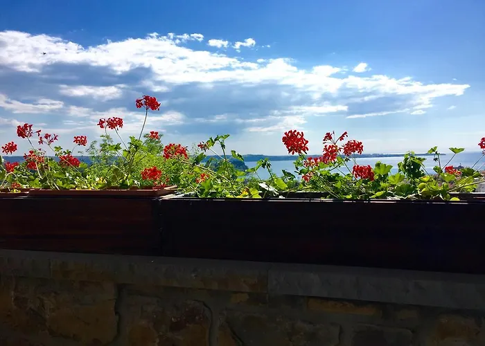 Apartamento Istrian House